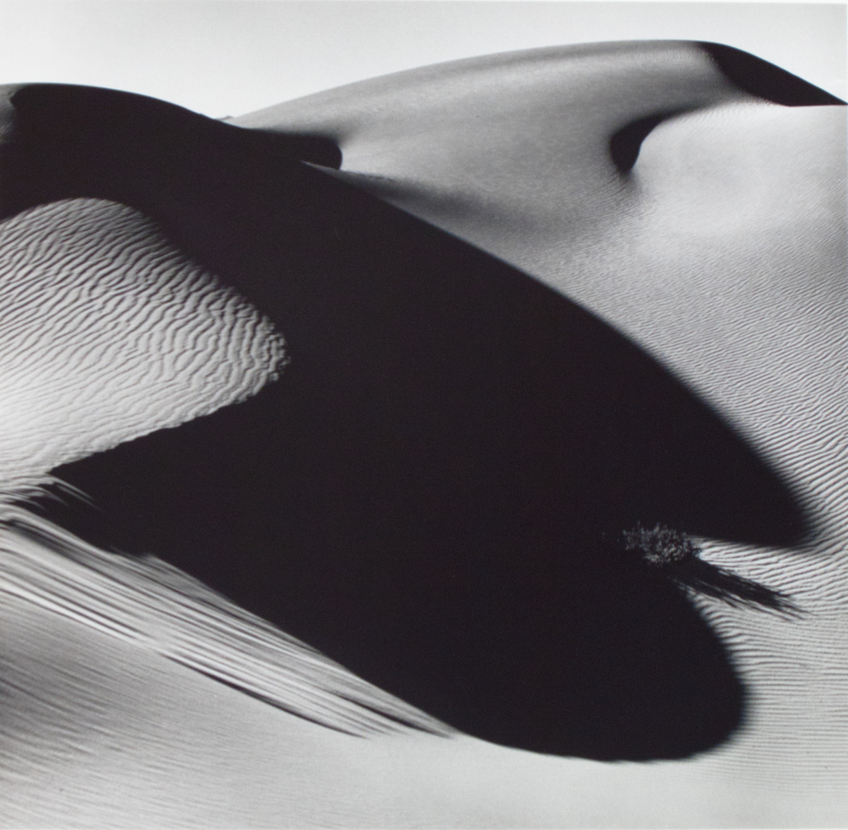 Dune and Shadow, Death Valley