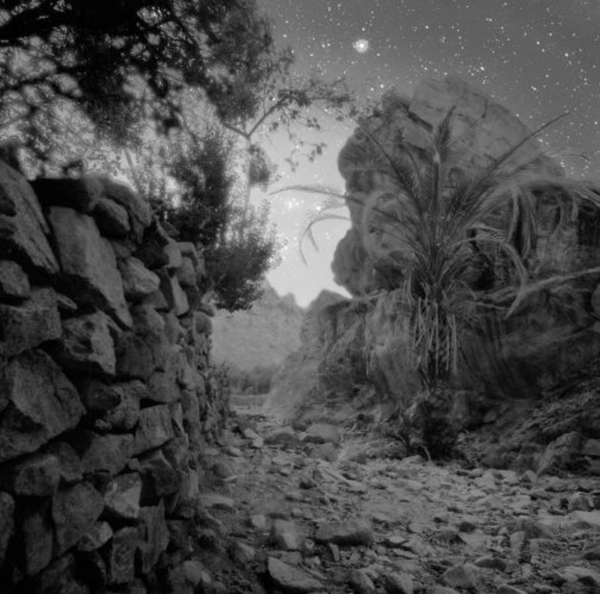 First Light, Wadi Zawatin