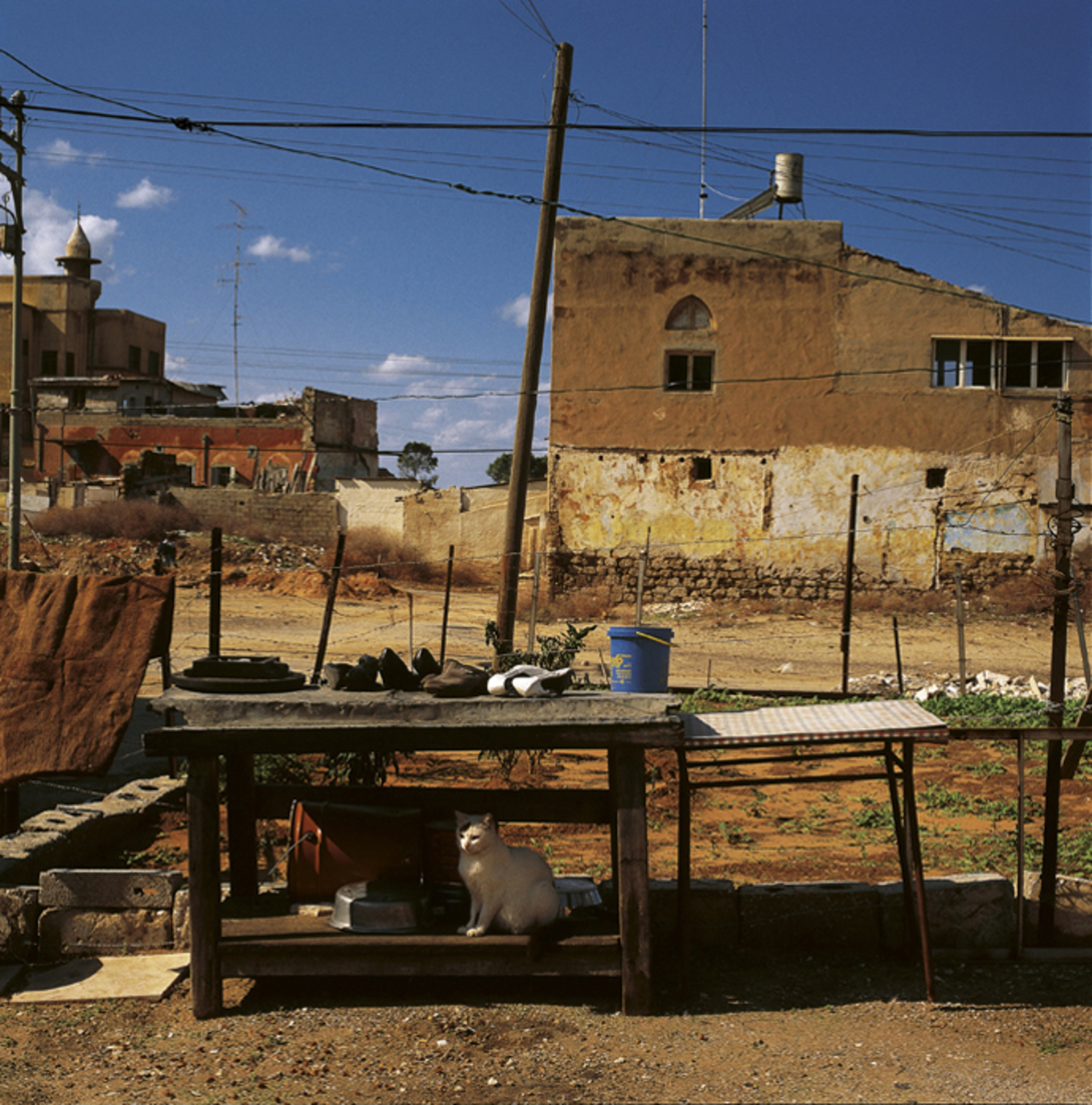 Jaffa