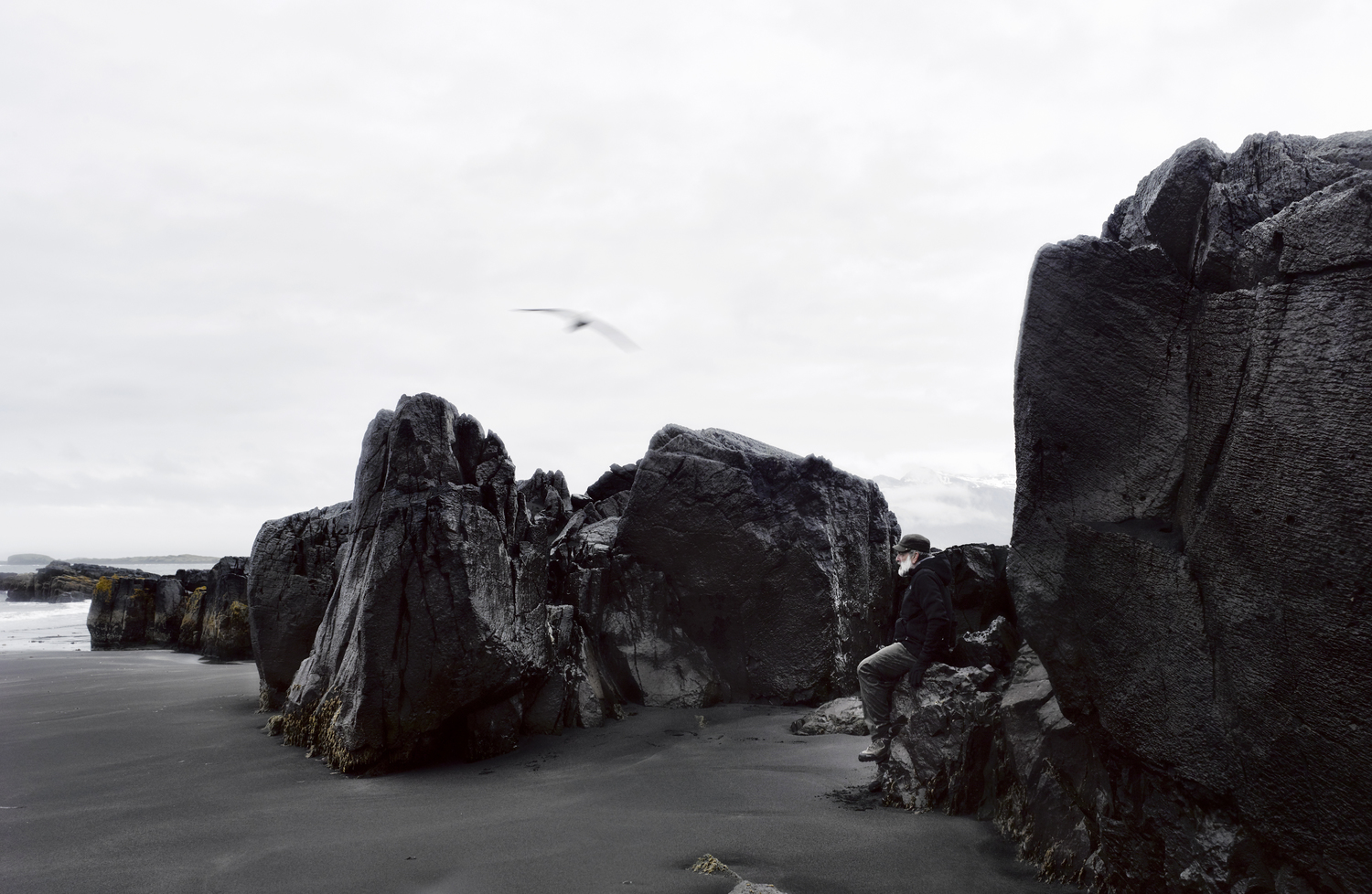 Cold Black Coast