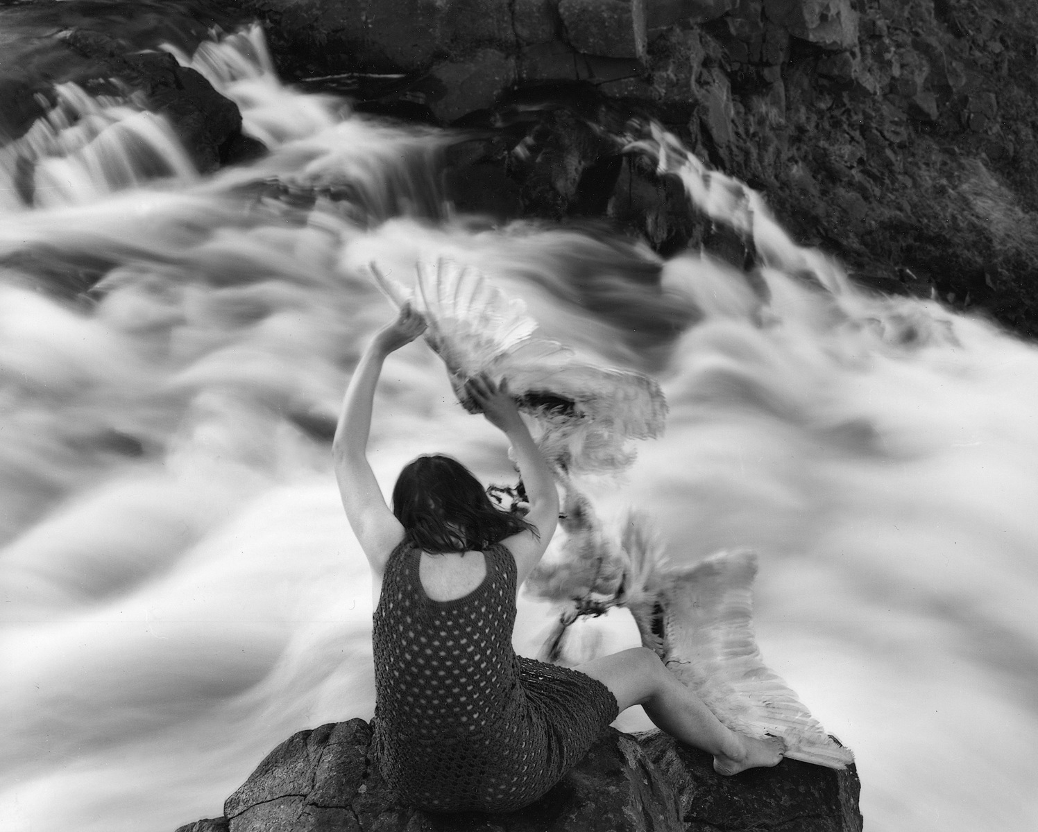 Swan Wings. Kleppjárnsstaðir, Iceland.