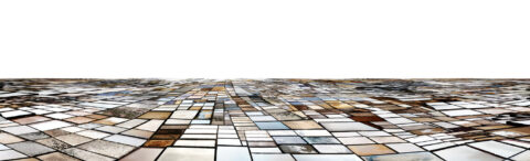 Salinas whole-day sequence