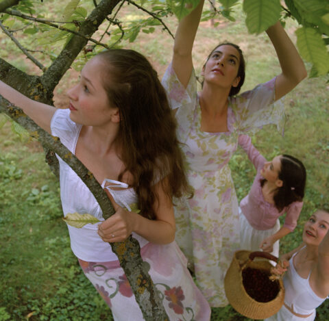 Cherry Tree in Morisot's yard, Mesnil