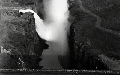 A Pair of Female Photographers Draw Connections Between Natural Forms