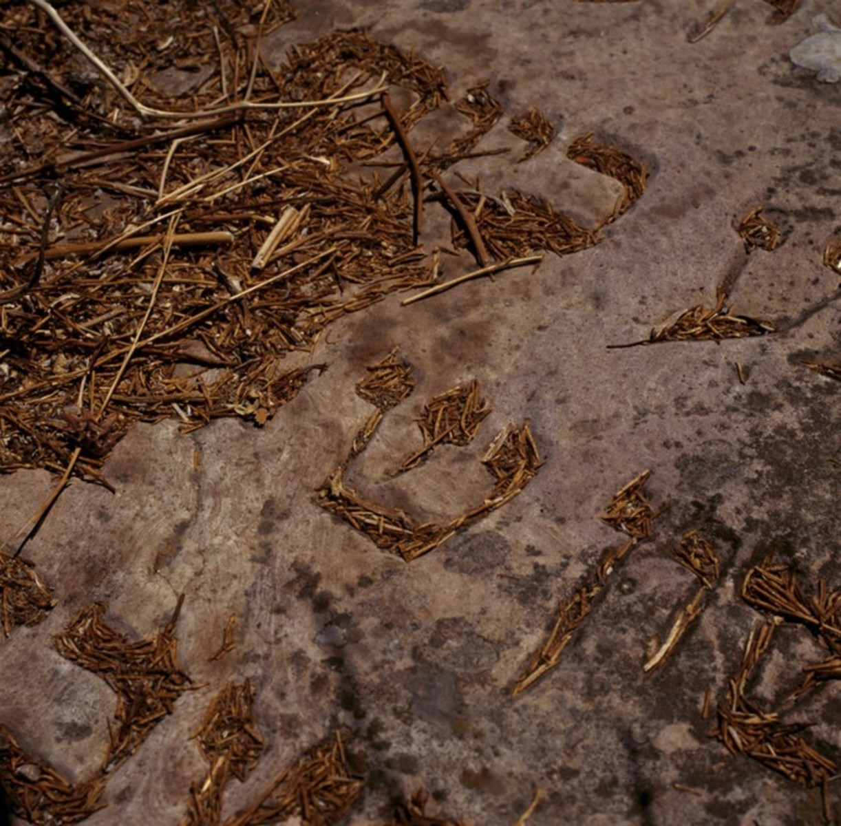 Jerusalem, Serie des Lettres #103