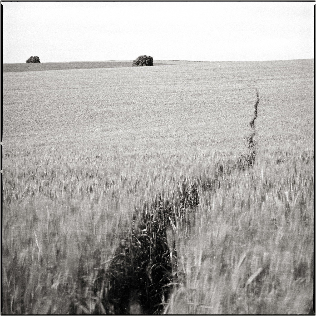 His Way, Menashe Heights, Israel