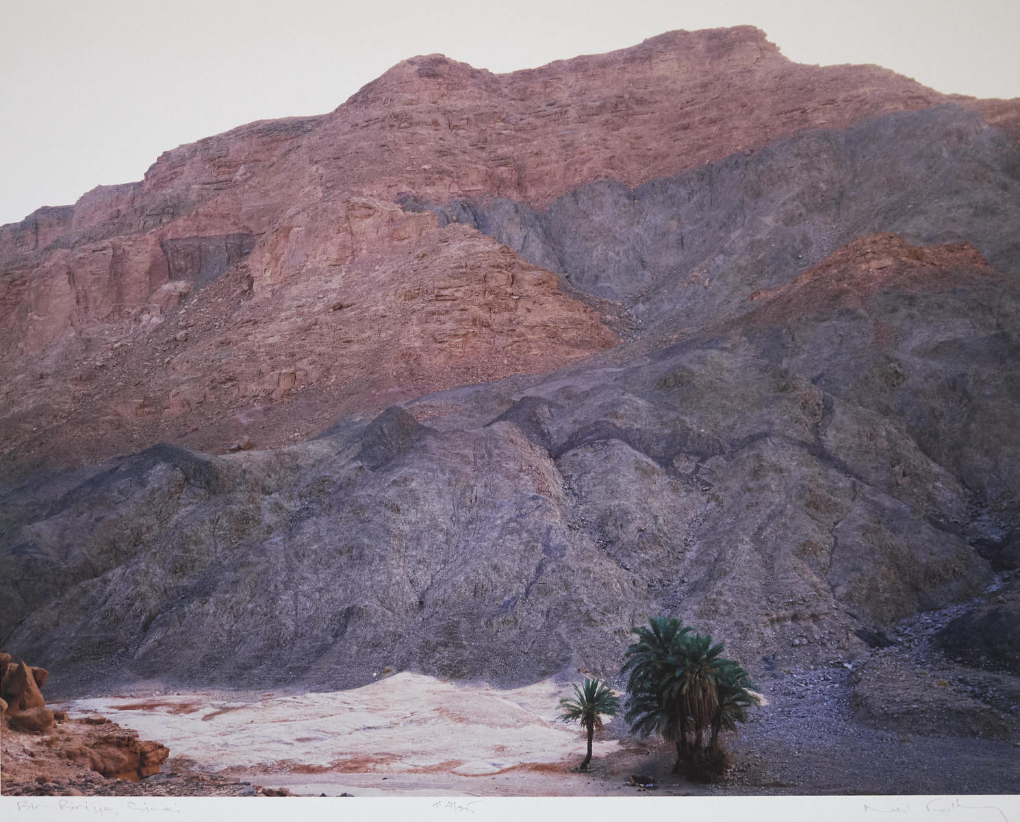 Oasis at Bir-Biriya, Sinai