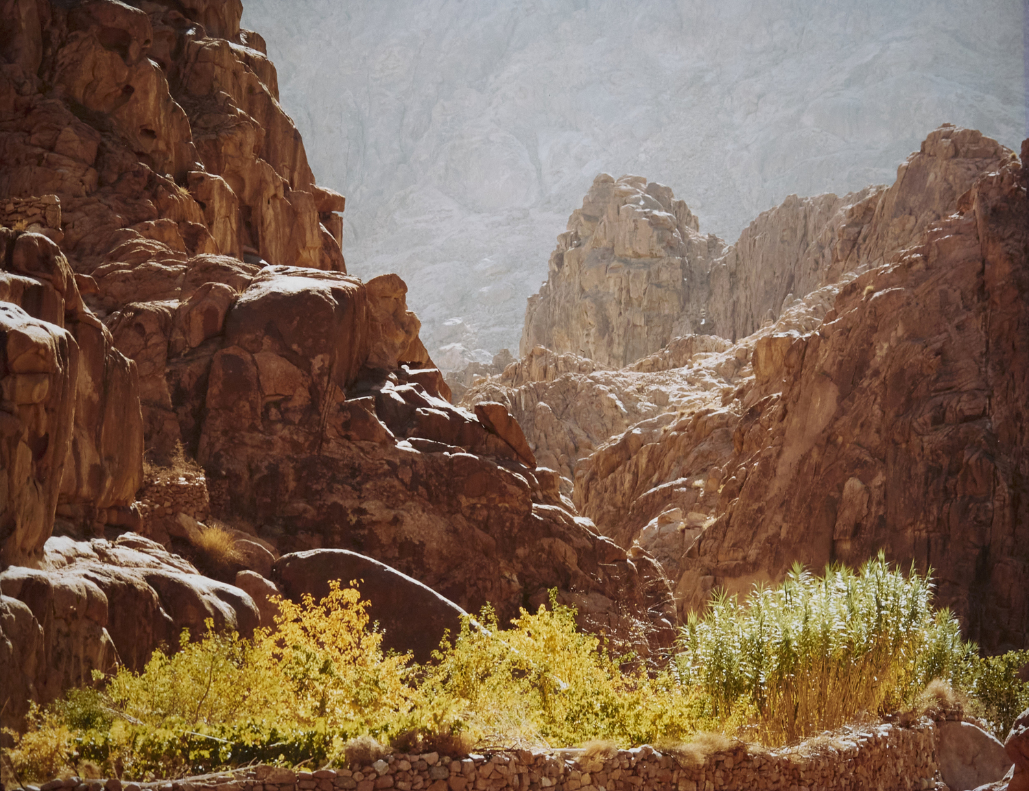 Wadi Jibal, Sinai