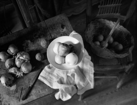 Still life with apples, Atelier Cezanne