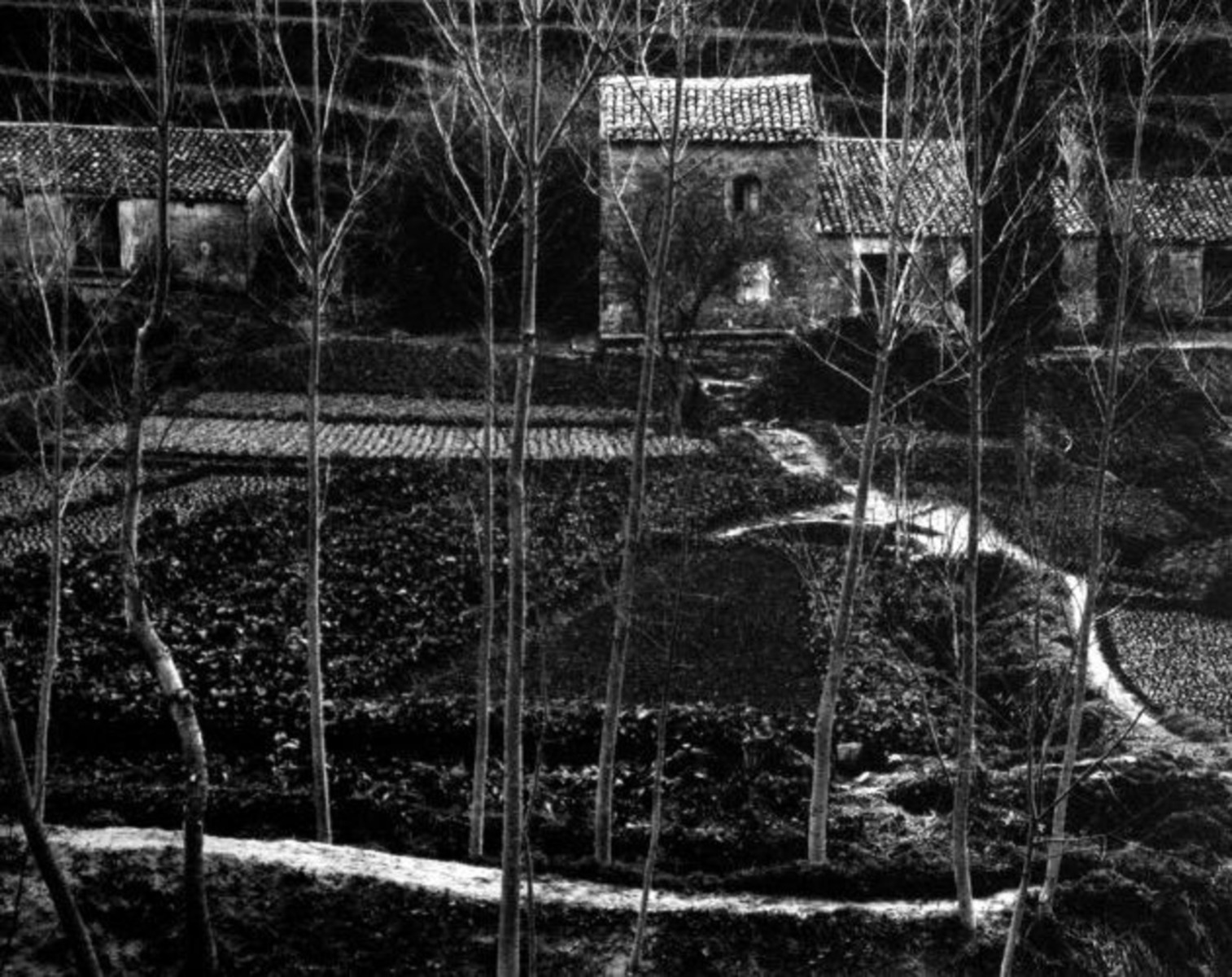 Paul Strand
