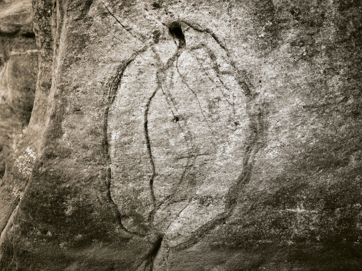 The Map, Nahal Timna